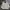 Vintage Luxury Harrington jacket Pria cream photo 1