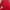 Adidas Sportswear T-shirt Pria red photo 3
