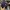 New Era Casual Hat Pria navy photo 3