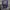 Blackyak Casual Track jacket Pria blue photo 5