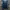 Dickies Casual Track jacket Pria blue photo 4
