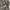 Emporio Armani Casual Pria gray photo 3