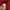 Adidas Sportswear Casual Track jacket Pria red photo 4