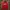 Adidas Sportswear Casual Track Jacket Pria Red