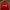 Adidas Sportswear Casual Track jacket Pria red photo 3