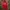 Adidas Sportswear Casual Track jacket Pria red photo 2