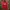 Adidas Sportswear Casual Track Jacket Pria Red