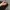 Vintage Y2K Culotte Wanita black photo 4