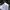 Adidas Casual Track jacket Pria gray photo 6