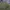 8seconds Vintage Avant Garde Parka Pria green photo 6