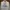 Nike Air Jordan Casual Track jacket Pria white photo 3