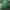 H&M Casual Crop top Wanita green photo 1