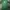 H&M Casual Crop Top Wanita Green