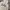 GAP Luxury Hoody Pria gray photo 2