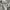 Nike Sportswear Casual Sweater Pria gray photo 5