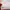 Supreme Casual Sweatshirt Pria white red photo 4