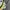Adidas Sportswear Casual Sweater Pria gray photo 4