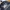 Streetwear Casual Windbreaker Pria navy black photo 7