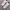 Nike Streetwear Minimalist Sneakers Pria white tan photo 1