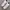 Nike Streetwear Minimalist Sneakers Pria White Tan