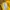 Nike Y2K Sportswear Wanita yellow photo 5