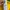 Nike Y2K Sportswear Wanita yellow photo 8