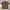 Japanese brand Y2K Grunge Casual shirt Pria multicolor photo 3