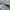 Salomon Gorpcore Casual Sneakers Pria white green photo 2
