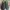 Nike Streetwear Sportswear Sneakers Pria multicolor photo 1