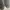 Nike Streetwear Sportswear Sneakers Pria multicolor photo 7