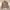 Ozone Community Y2K Lolita Denim jacket Wanita multicolor photo 2