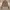 Ozone Community Y2K Lolita Denim jacket Wanita multicolor photo 6