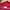 Champion Luxury Minimalist Hoody Pria red photo 2