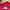 Champion Luxury Minimalist Hoody Pria Red