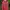 Champion Luxury Minimalist Hoody Pria red photo 1