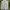 KIRSH Luxury Minimalist Hoody Pria white photo 1