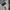Uniqlo Streetwear Y2K Casual pants Pria cream photo 7