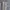 Uniqlo Streetwear Y2K Casual Pants Pria Cream