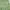 Giordano Casual Sweater Pria green photo 1
