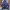 Biker Casual Bomber Jacket Pria White Blue
