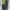 Converse Streetwear Skater Sneakers Pria white green photo 6
