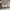 Converse Streetwear Skater Sneakers Pria white green photo 7