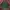 Yves Saint Laurent YSL Indie Minimalist Harrington jacket Pria green photo 2
