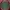 Yves Saint Laurent YSL Indie Minimalist Harrington Jacket Pria Green
