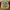 Ed Hardy Y2K Track jacket Pria yellow photo 2