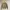 Vivienne Westwood Luxury Sweatshirt Pria Brown