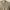 Vivienne Westwood Luxury Sweatshirt Pria brown photo 2