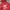 Adidas Casual Hoody Pria red photo 1