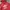 Adidas Casual Hoody Pria Red