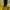 AMI Paris Fairy Casual Windbreaker Pria Yellow